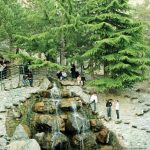 تحلیل فضای شهری پارک جمشیدیه تهران – پروژه تحلیل فضای شهری
